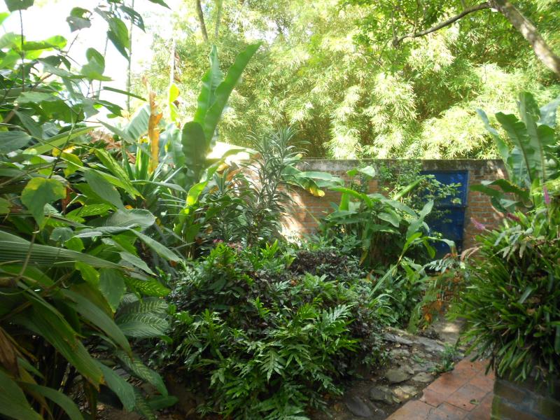 Casa En Venta - Pola, Ibagué