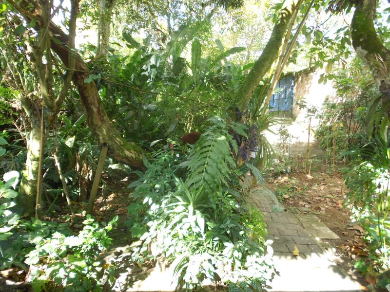 Casa En Venta - Pola, Ibagué