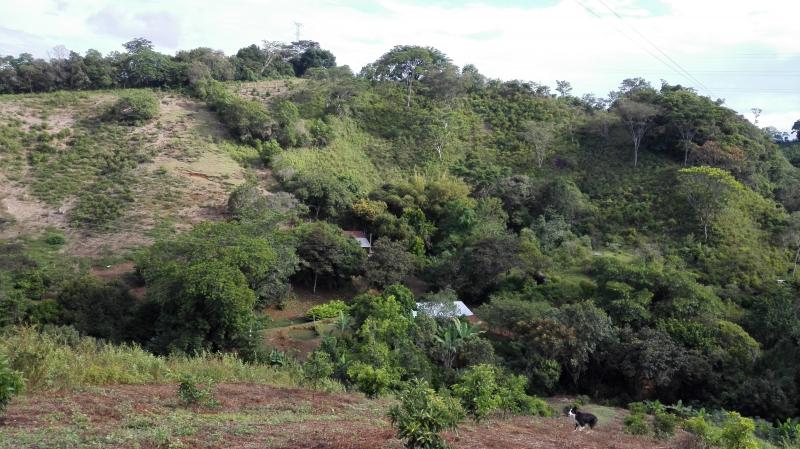 Finca En Venta - Vereda Orita (Campo Alegre), Mariquita