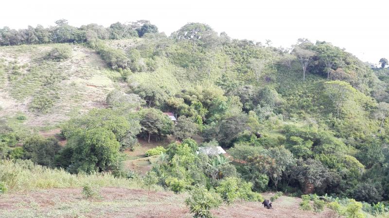Finca En Venta - Vereda Orita (Campo Alegre), Mariquita