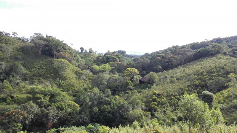 Finca En Venta - Vereda Orita (Campo Alegre), Mariquita