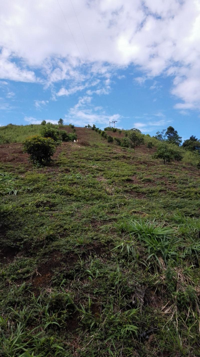 Finca En Venta - Vereda Orita (Campo Alegre), Mariquita