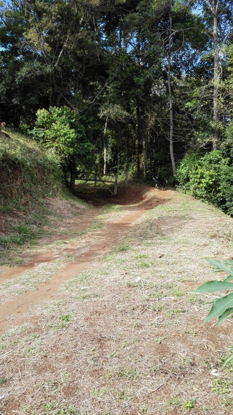 Finca En Venta - Vereda Orita (Campo Alegre), Mariquita