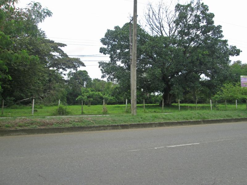 Cañasgordas