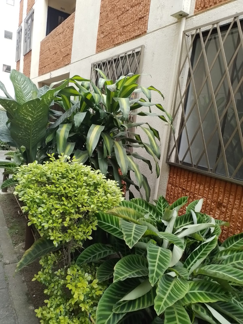 Apartamento EN VENTA EN Marco Fidel Suárez, código: 1077266 - 0