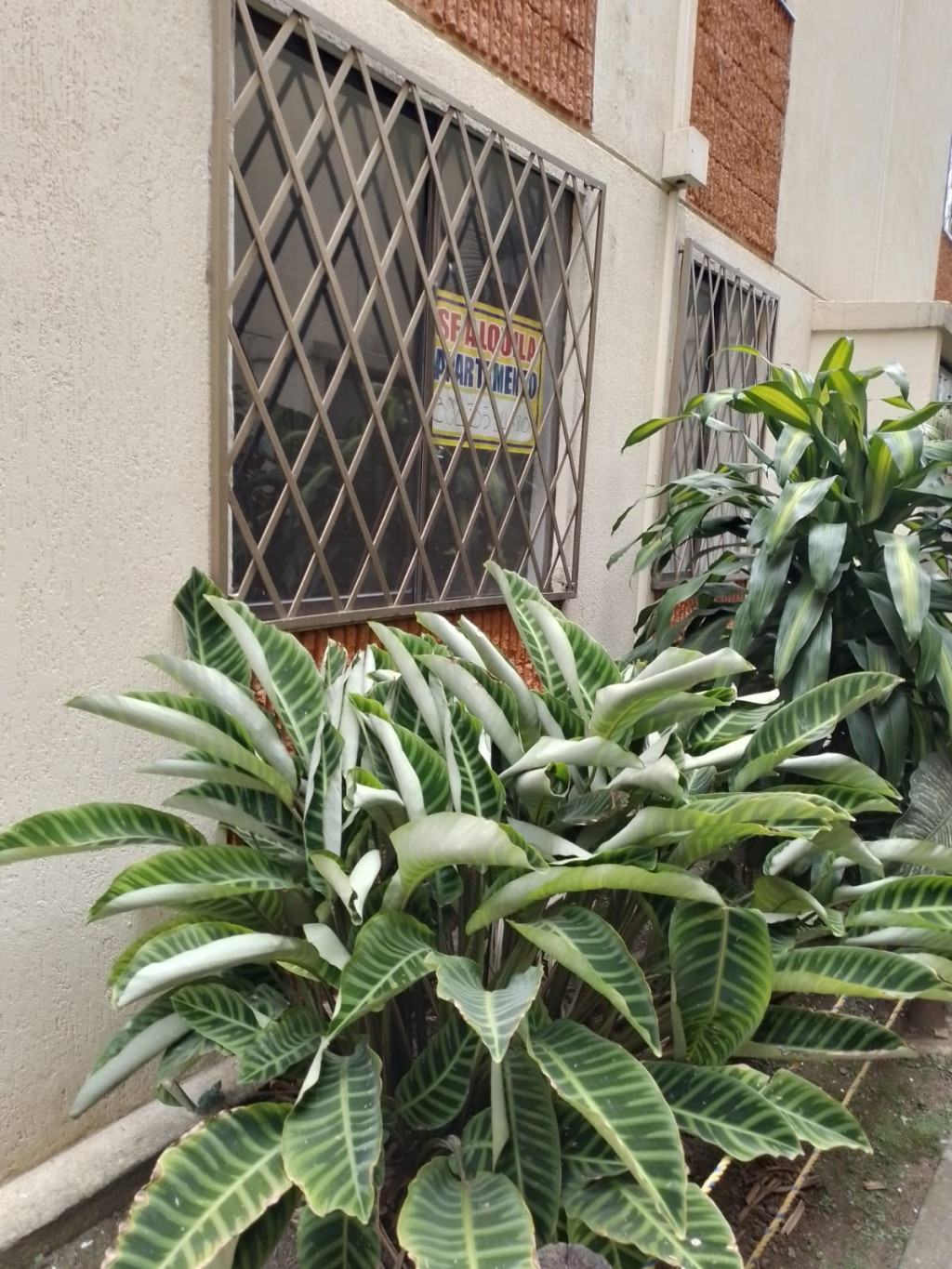 Apartamento EN VENTA EN Marco Fidel Suárez, código: 1077266 - 1