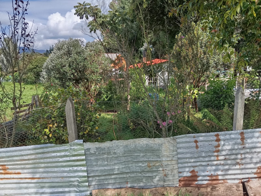 Finca EN VENTA EN Guasca, código: 10263025 - 11