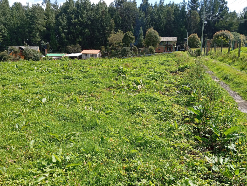 Finca EN VENTA EN Guasca, código: 10263025 - 1