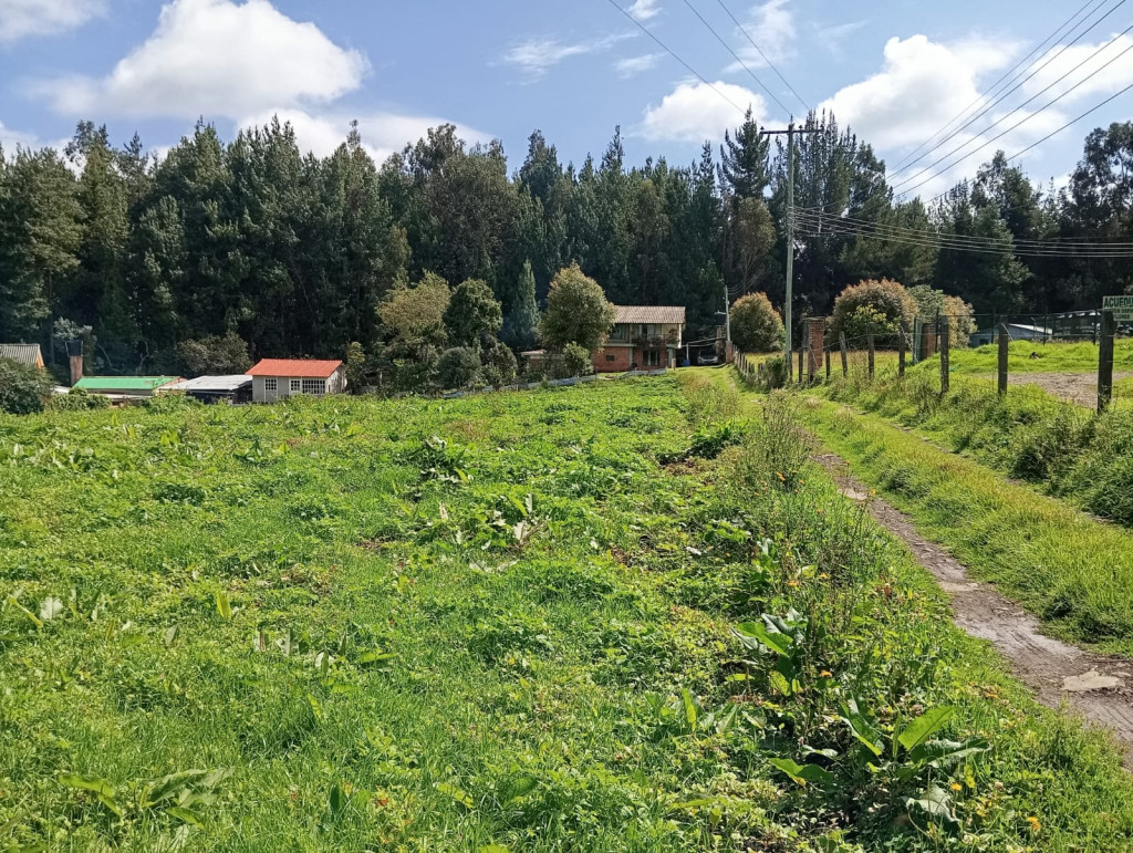 Finca EN VENTA EN Guasca, código: 10263025 - 0