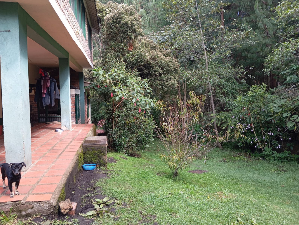 Finca EN VENTA EN Guasca, código: 10263025 - 5