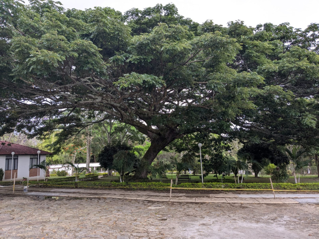 Casa EN VENTA EN Conjunto Solaire, código: 10360032 - 14