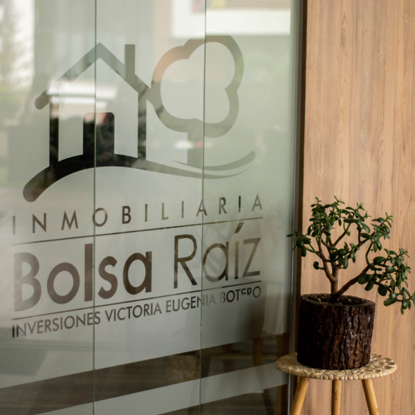 Bolsa Raiz
