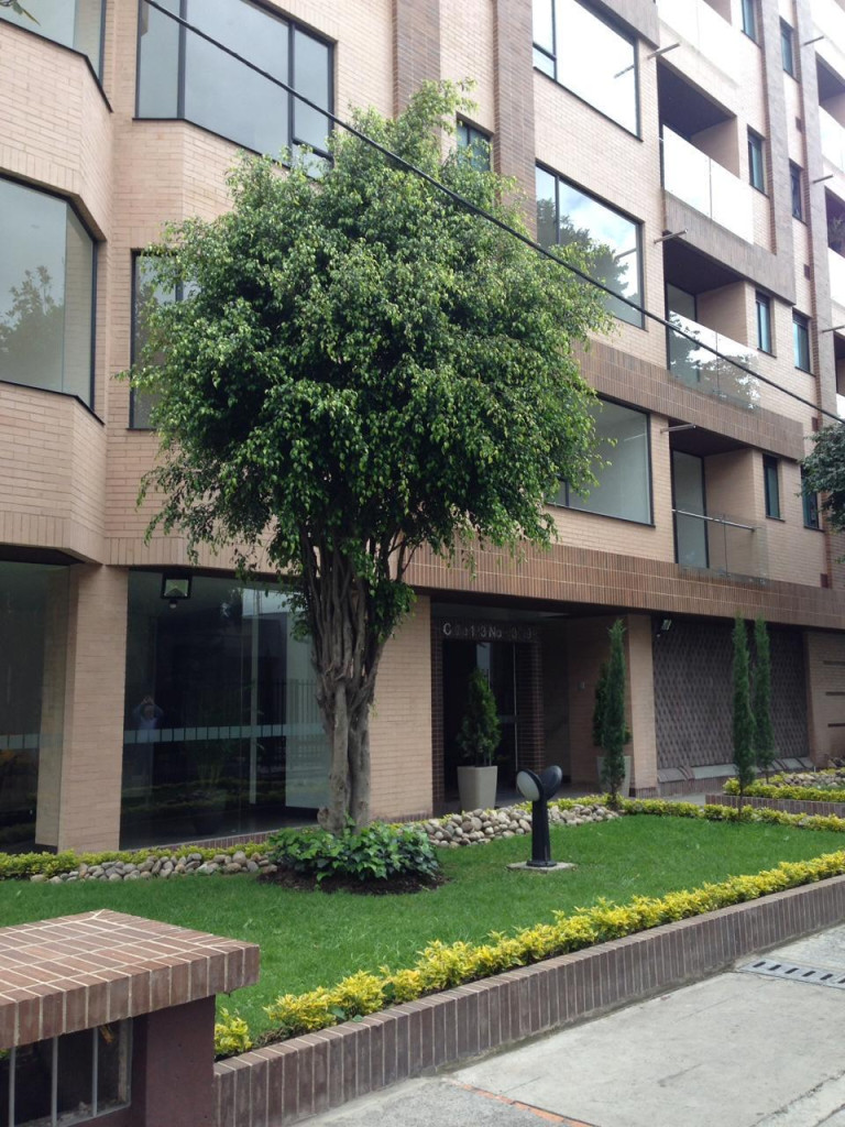 Apartaestudio