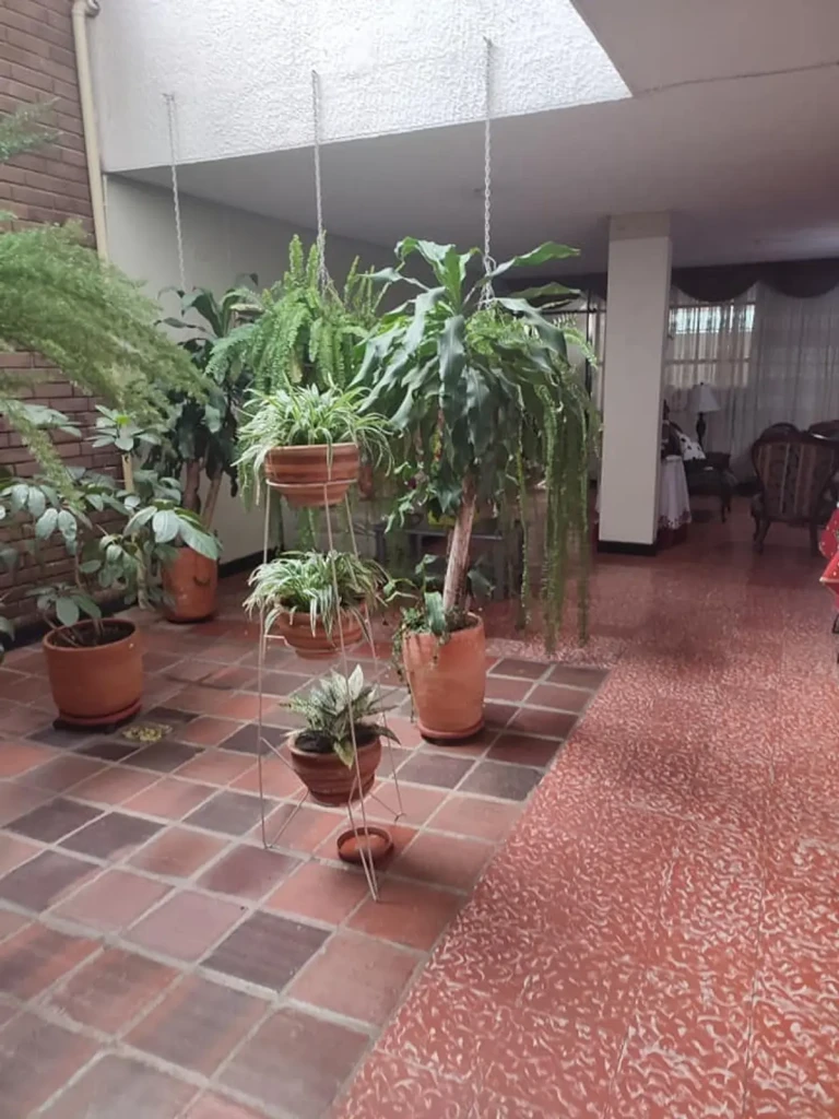 Casa EN VENTA EN San Alonso, código: 10250389 - 13