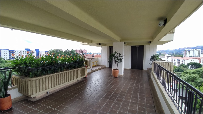 Apartamento En Arriendo - Pampalinda, Cali