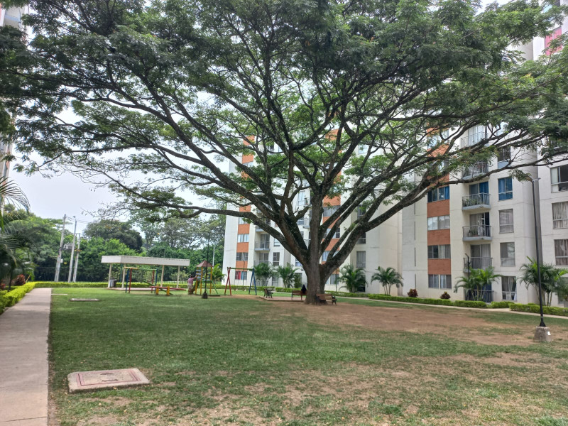 Apartamento En Arriendo - Los Naranjos, Jamundí