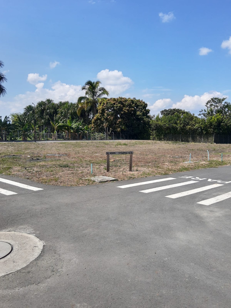 Lote En Venta - Rozo, Palmira
