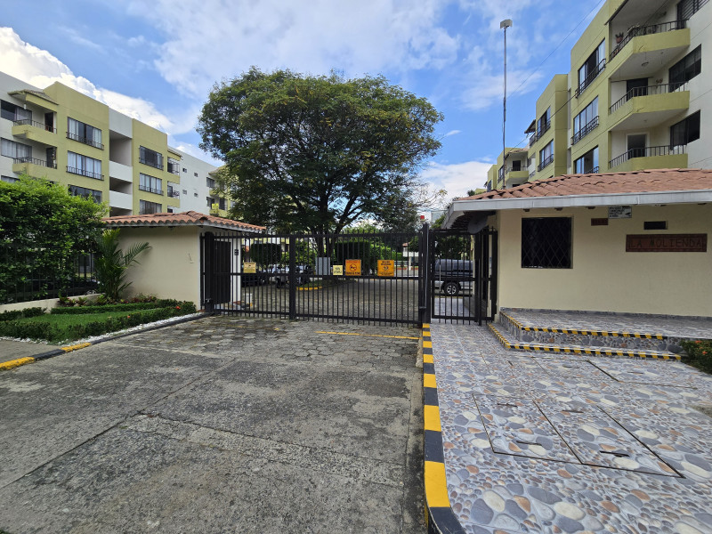 Apartamento En Venta - El Ingenio 1, Cali