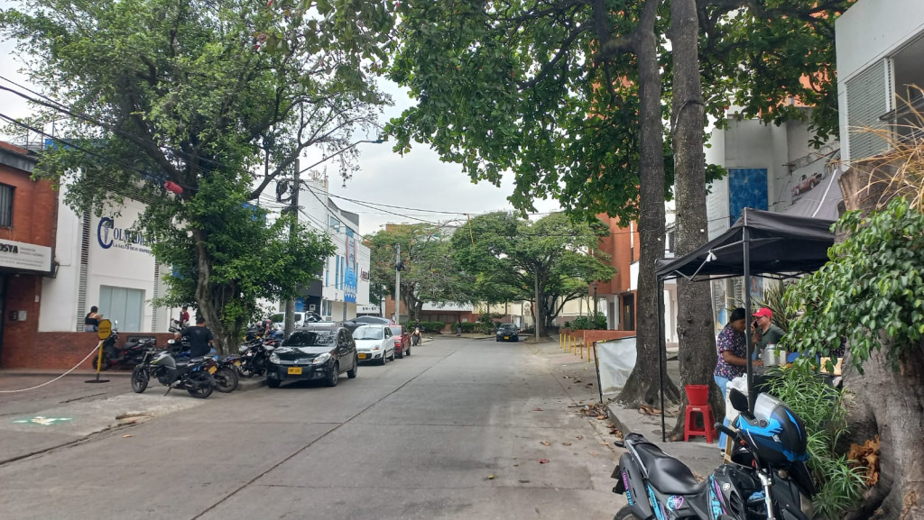 Lote En Arriendo - Santa Mónica Residencial, Cali