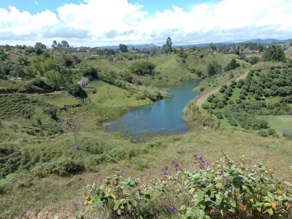 Foto Terreno en Venta en Oriente, Peñol, Antioquia - $ 690.000.000 - doVMAT15070 - BienesOnLine