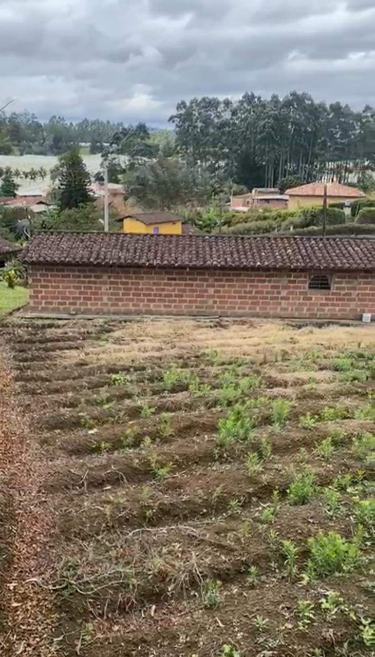 Finca EN VENTA EN ., código: 10218469 - 11