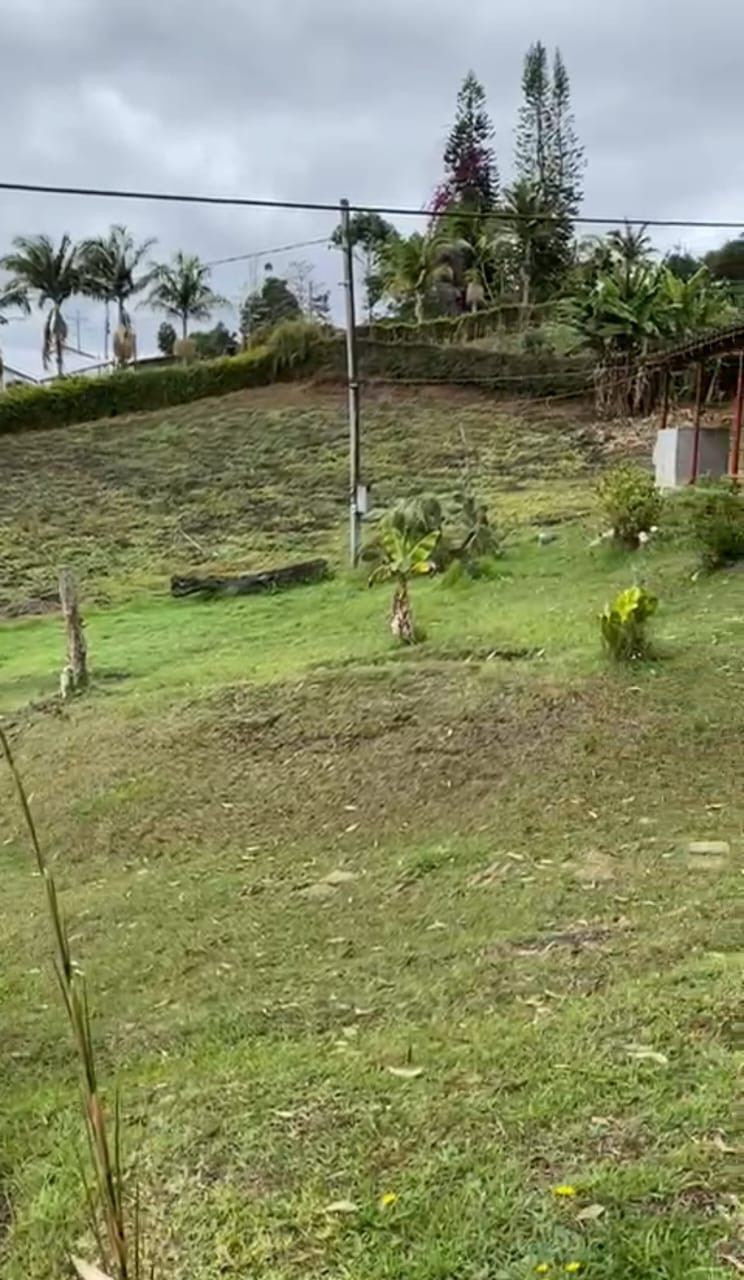 Finca EN VENTA EN ., código: 10218469 - 12
