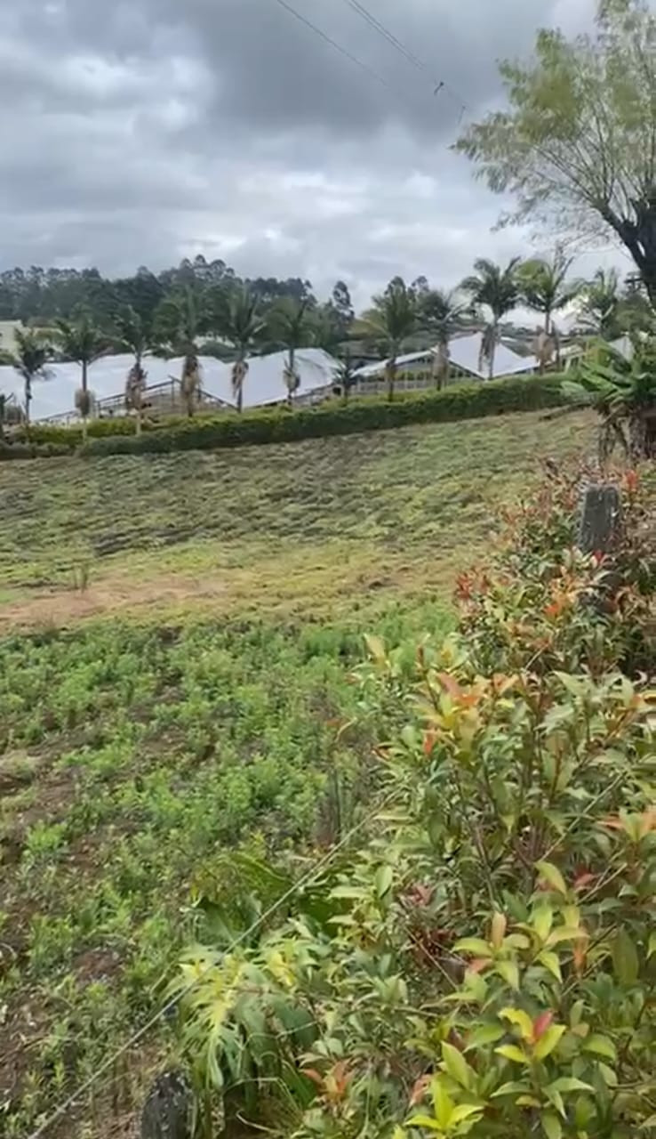 Finca EN VENTA EN ., código: 10218469 - 10