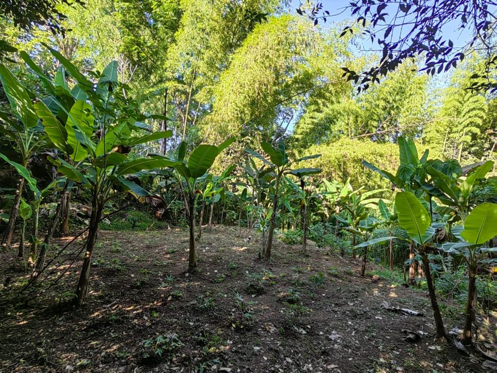Finca EN VENTA EN ., código: 10776 - 23