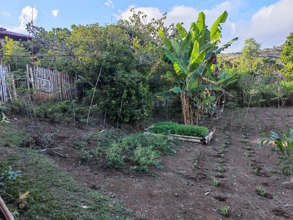 Finca EN VENTA EN ., código: 10776 - 5