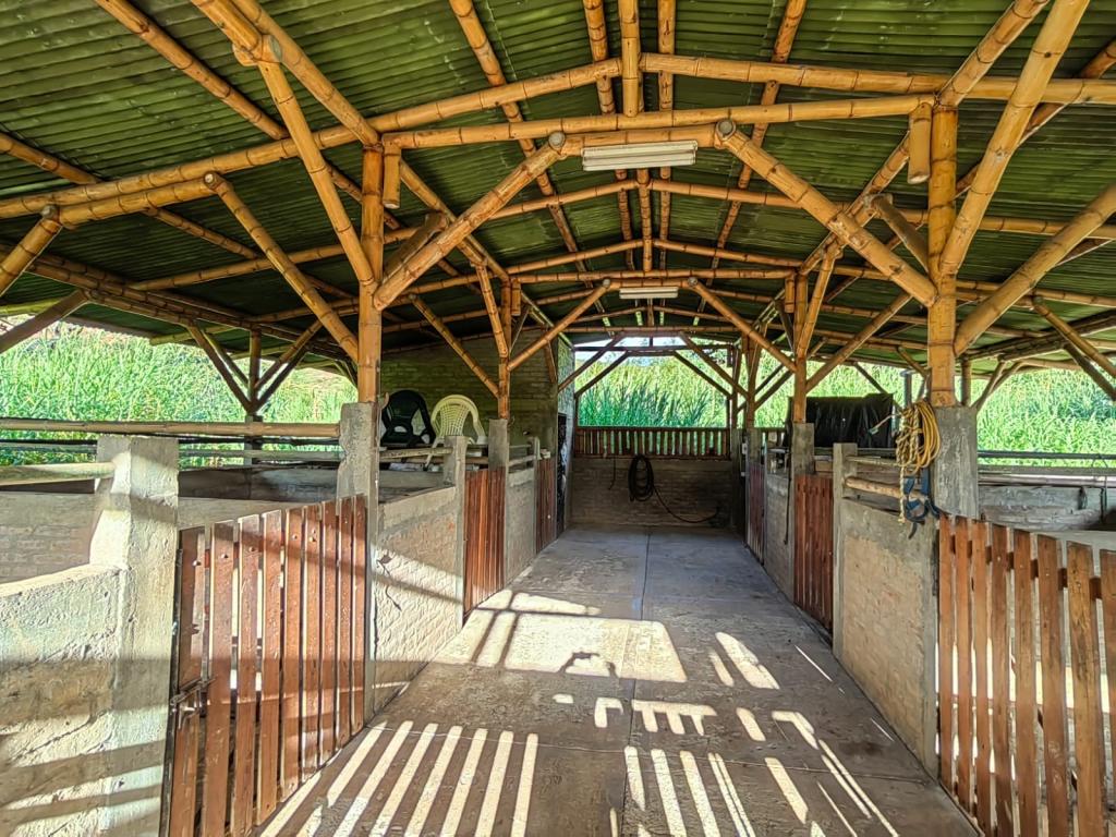 Finca EN VENTA EN ., código: 10776 - 7