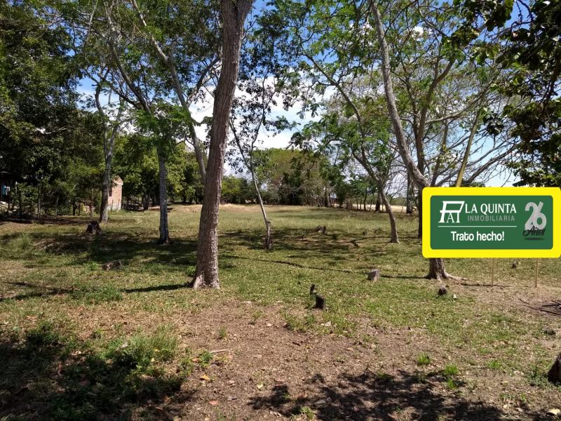 Lote En Venta - Piedra Grande Paraje Chucuni, Ibagué