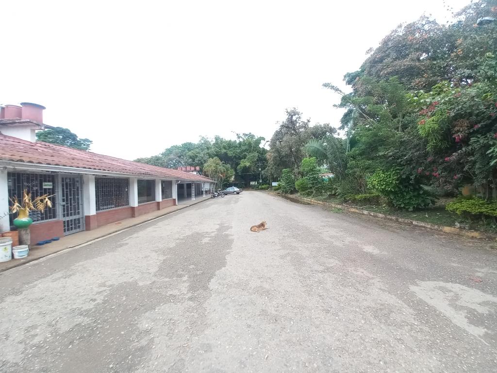 Lote En Venta - Centro Recreacional Recreacafe, Ibagué