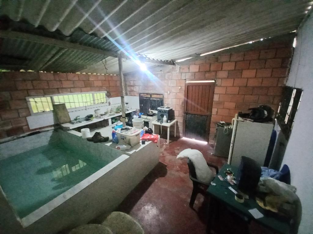 Finca En Venta - San Francisco Vereda Ancon Tesorito, Ibagué