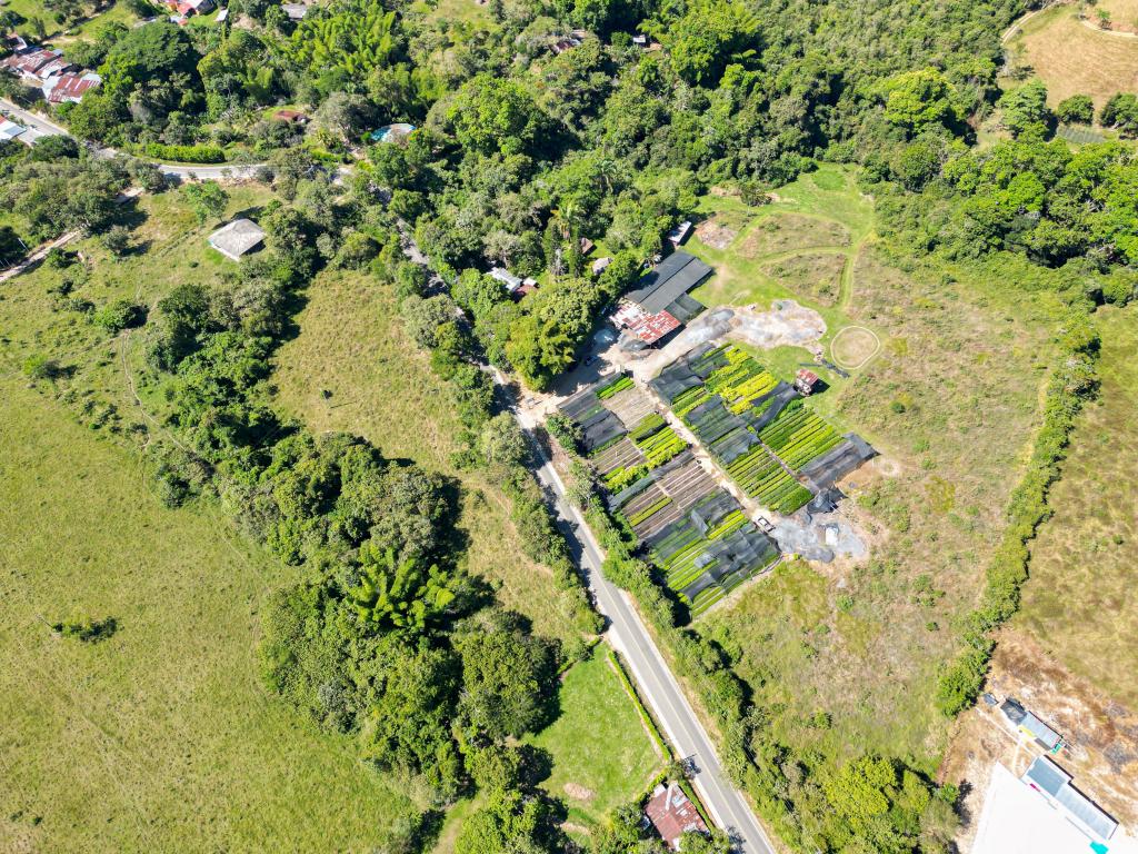 Finca En Venta - Finca La Castellana - Vereda El Cural Km 8, Ibagué