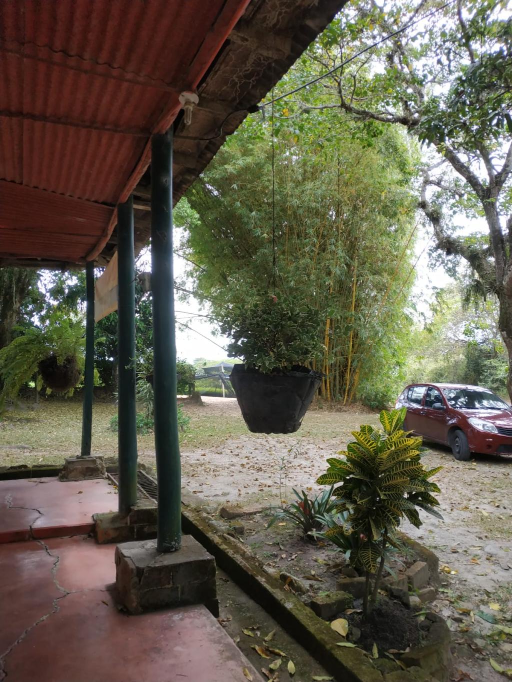 Finca En Venta - Finca La Castellana - Vereda El Cural Km 8, Ibagué