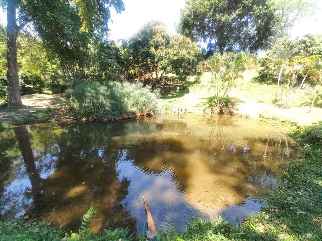 Finca En Venta - Manantiales De Antaño - Vereda Potrerito, Ibagué