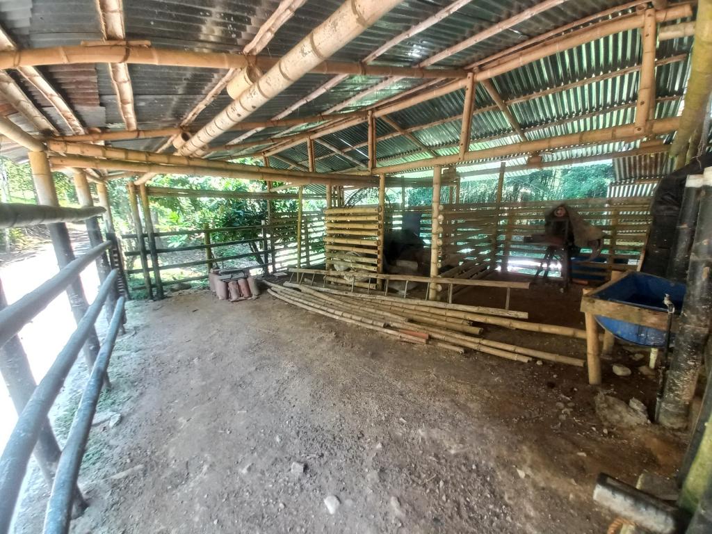 Finca En Venta - Manantiales De Antaño - Vereda Potrerito, Ibagué