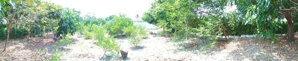 Casalotes En Venta - Guamo - Tolima, Guamo
