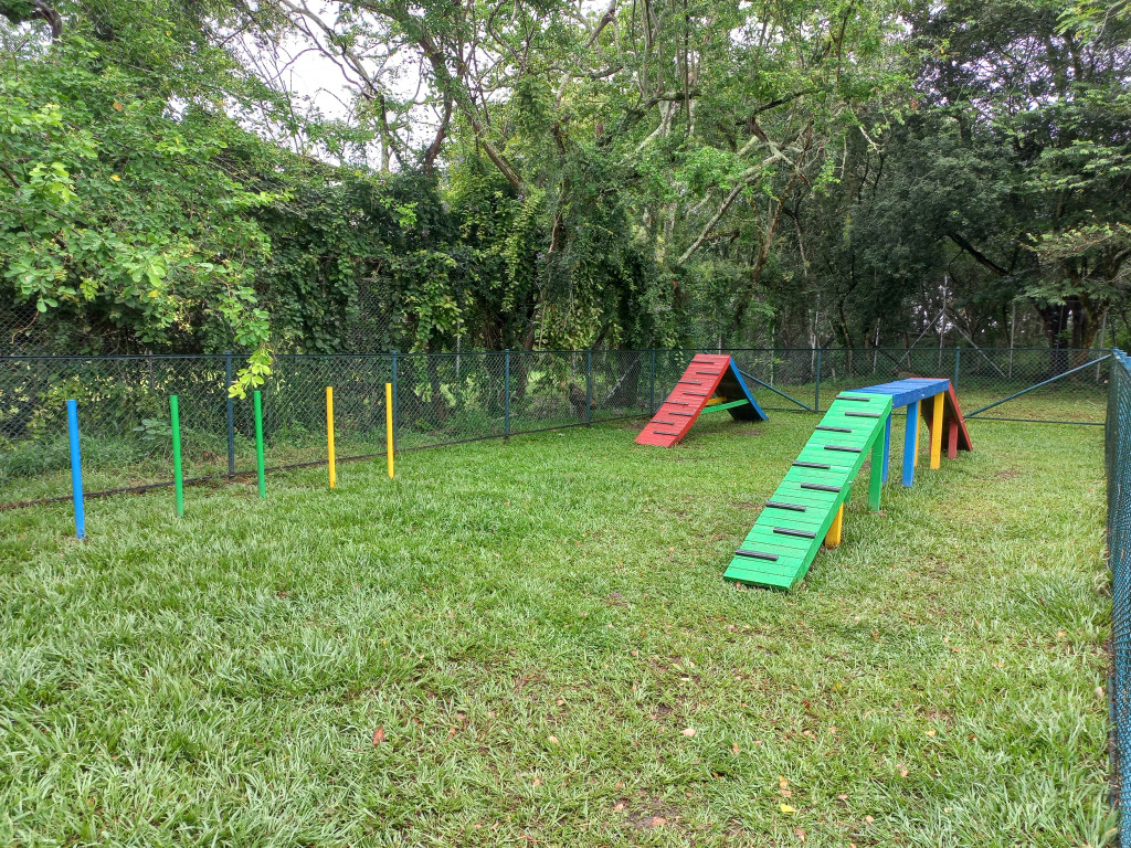 Apartamento En Arriendo - C.r Fontana Campestre Piso 2, Ibagué