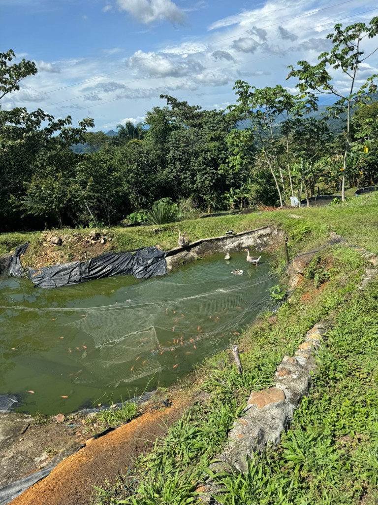 Finca En Venta - Finca La Rica, Mariquita
