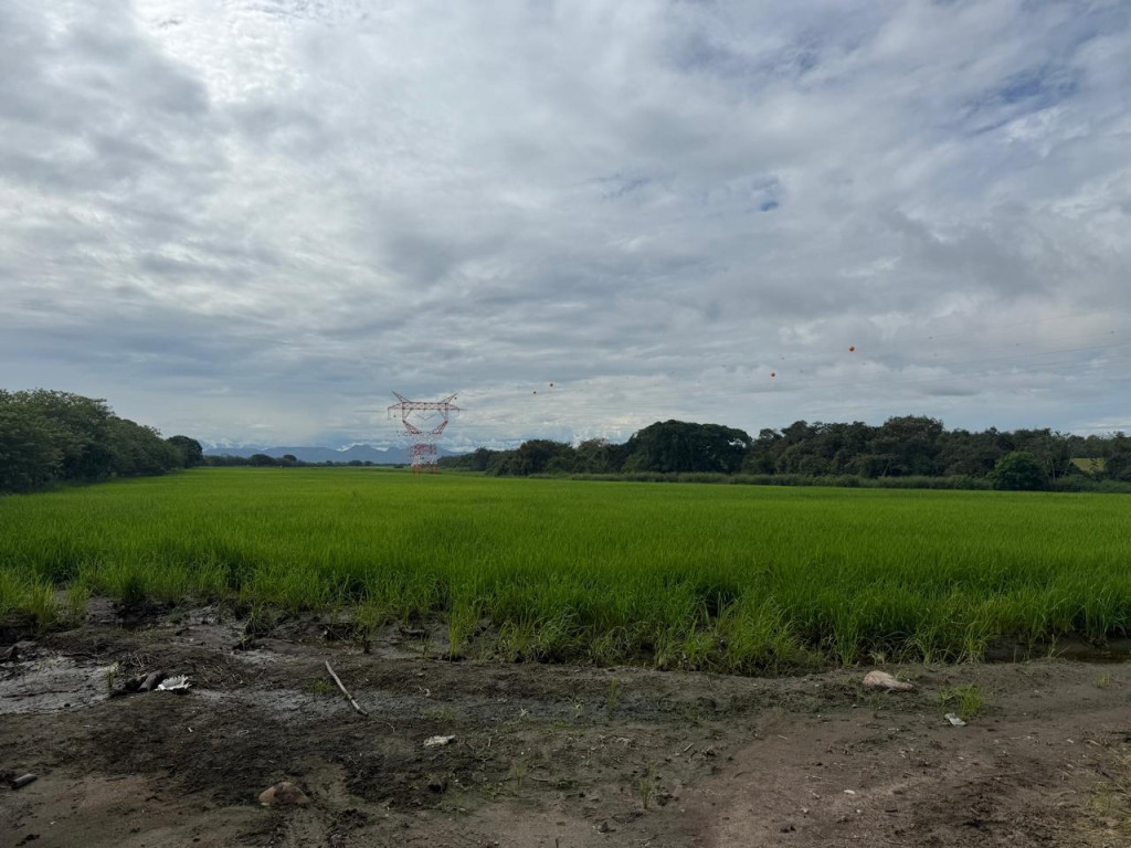 Lote En Venta - Picaleña, Ibagué