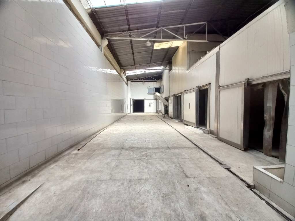 Bodega En Arriendo - Picaleña, Ibagué