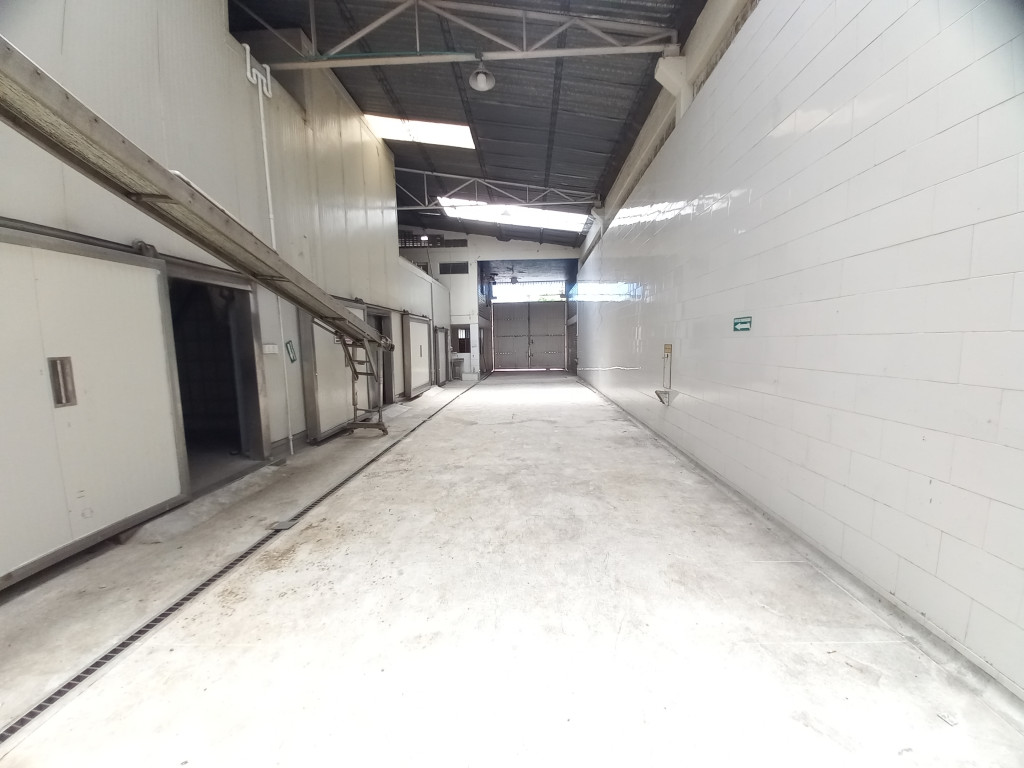 Bodega En Arriendo - Picaleña, Ibagué