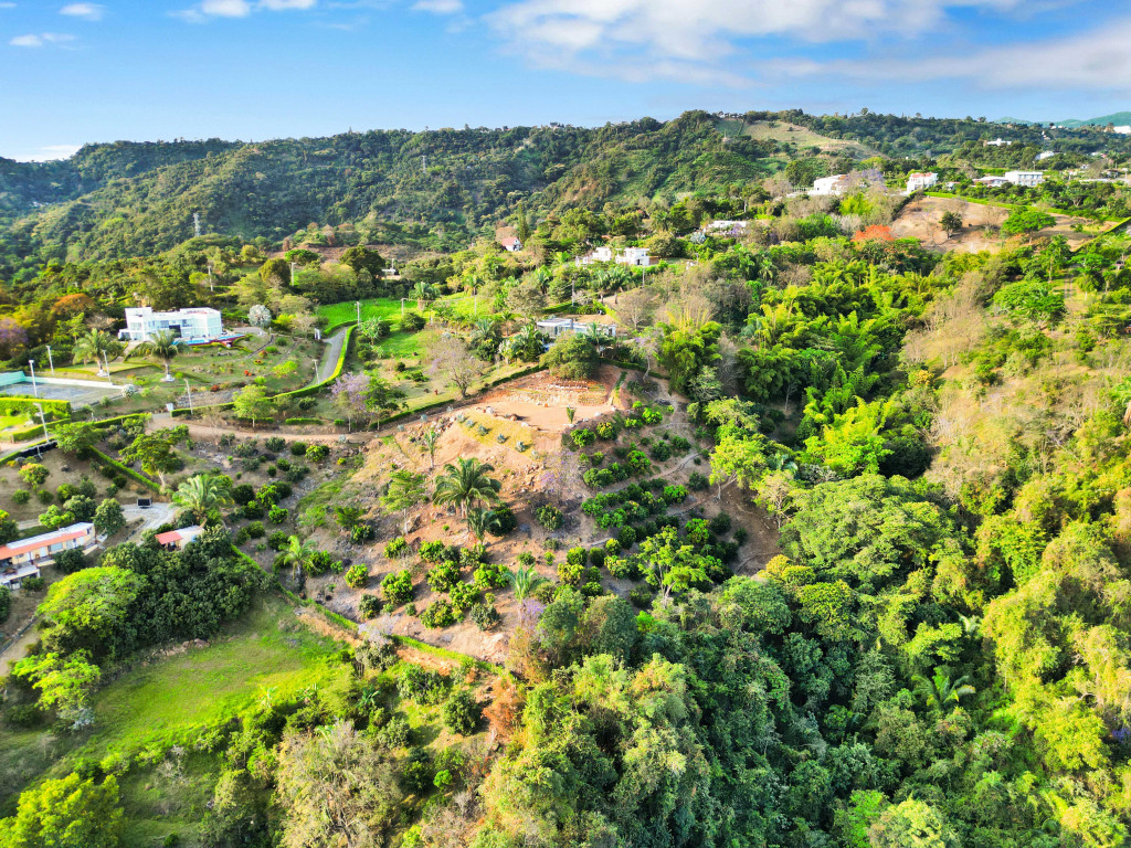 Lote En Venta - Condominio Campestre Loma De Palma, La Mesa