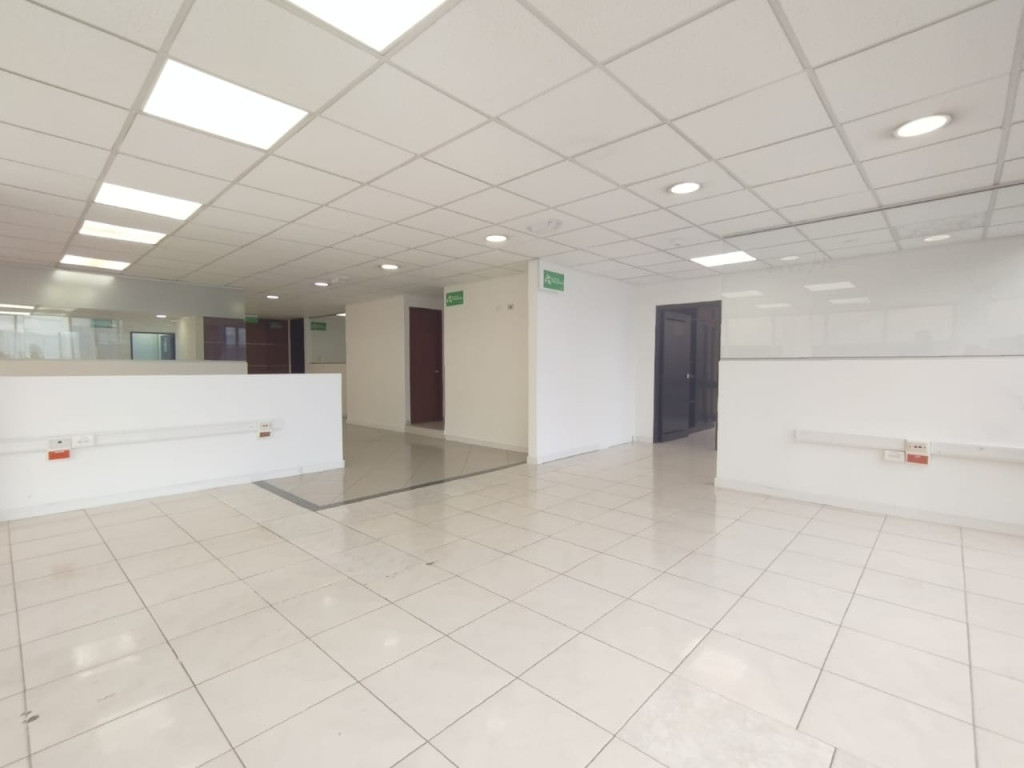 OFICINA Quinta Camacho