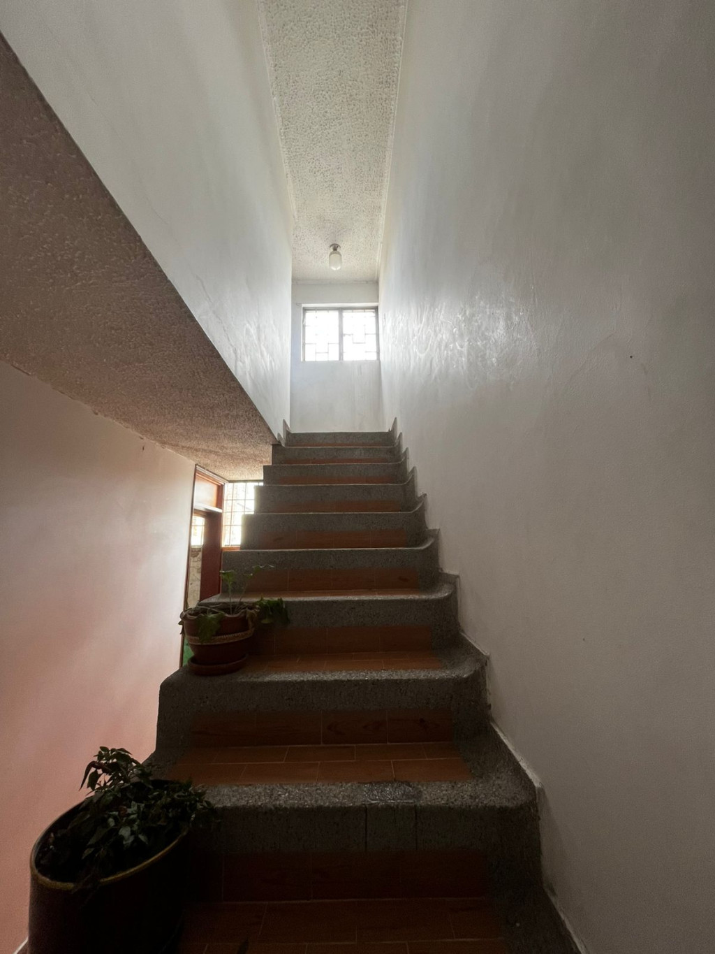 Bodega EN VENTA EN Carvajal, código: 10208496 - 9