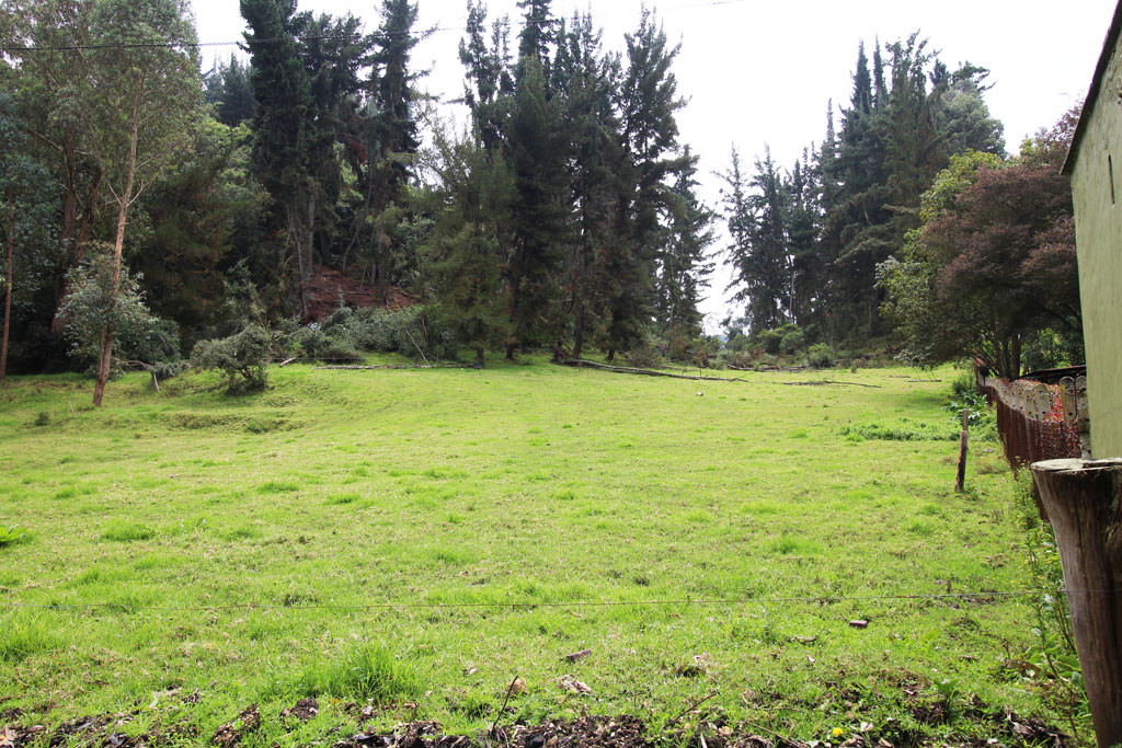 Lote EN VENTA EN Hato Grande, código: 10259888 - 4