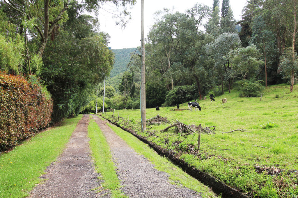 Lote EN VENTA EN Hato Grande, código: 10259888 - 0