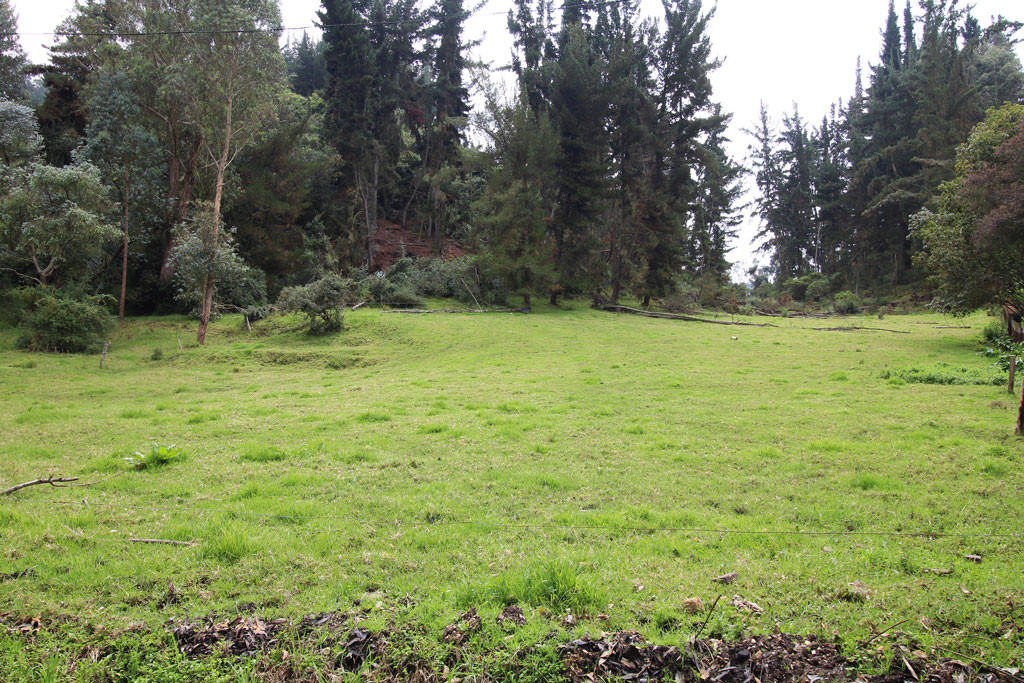 Lote EN VENTA EN Hato Grande, código: 10259888 - 1