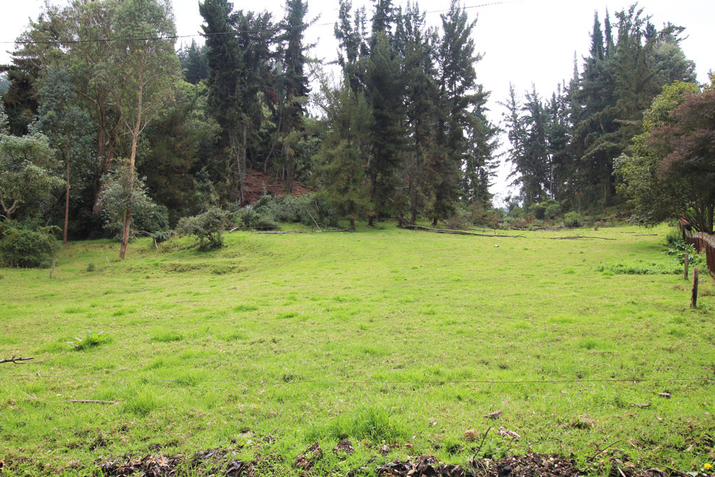 Lote EN VENTA EN Hato Grande, código: 10259888 - 2
